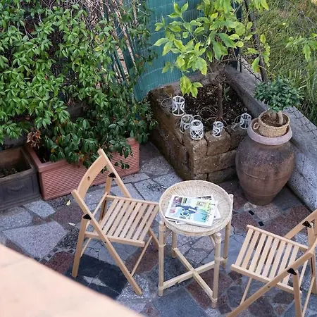 Art Of Living 100 Meters From The Sea. *