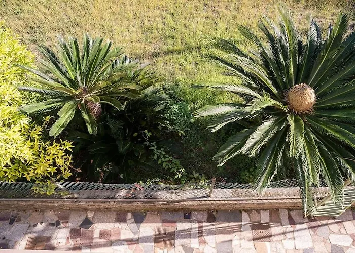 Apartment Art Of Living 100 Meters From The Sea. *