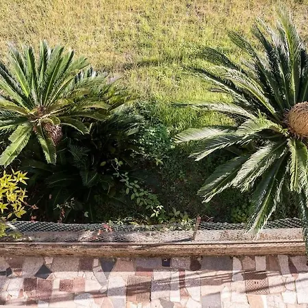 Apartament Art Of Living 100 Meters From The Sea. *